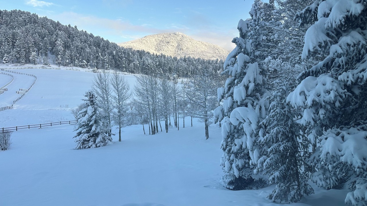 Photo of Others in Evergreen