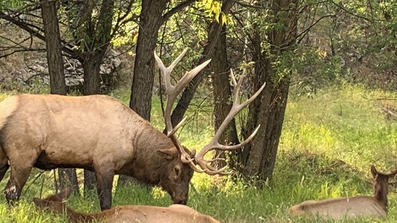 Photo of Others in Evergreen Meadows