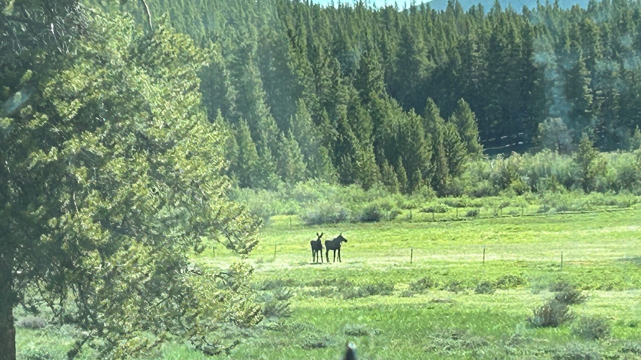 Photo of Others in Evergreen Meadows