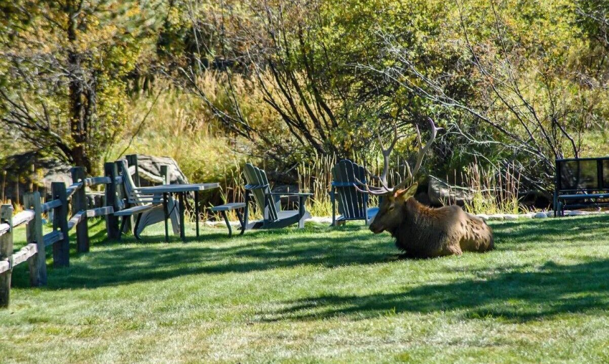 Photo of Outdoor in Estes Park