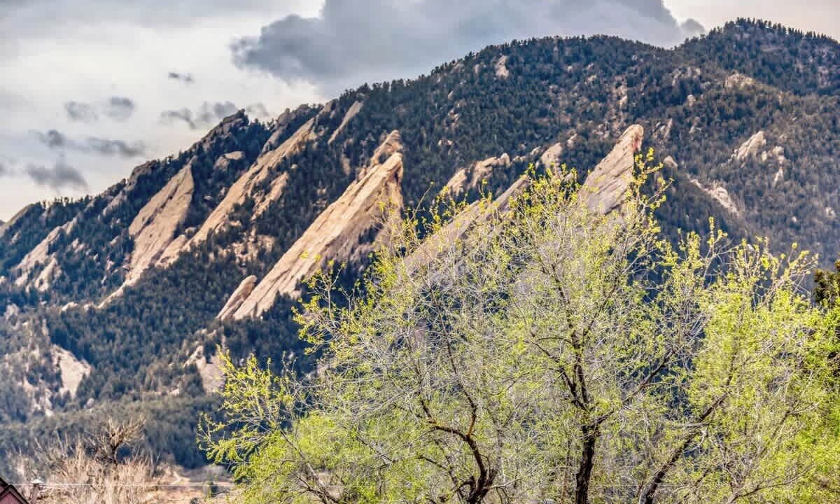 Photo of Others in Old North Boulder