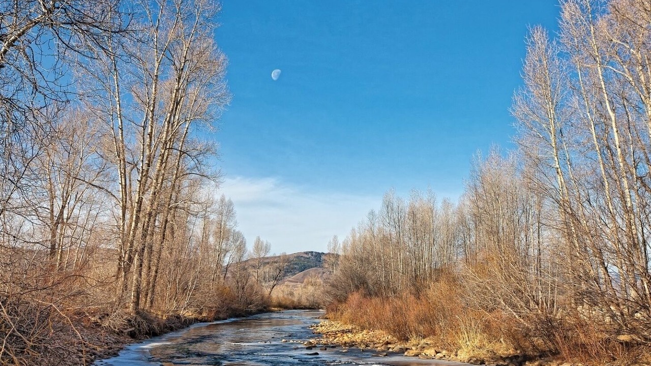 Photo of Others in Grand Elk Ranch