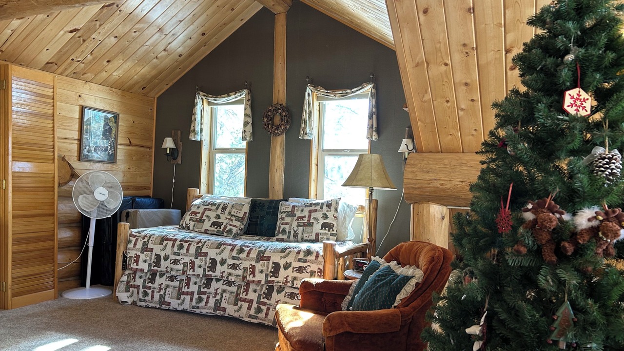 Photo of Livingroom in Leadville North