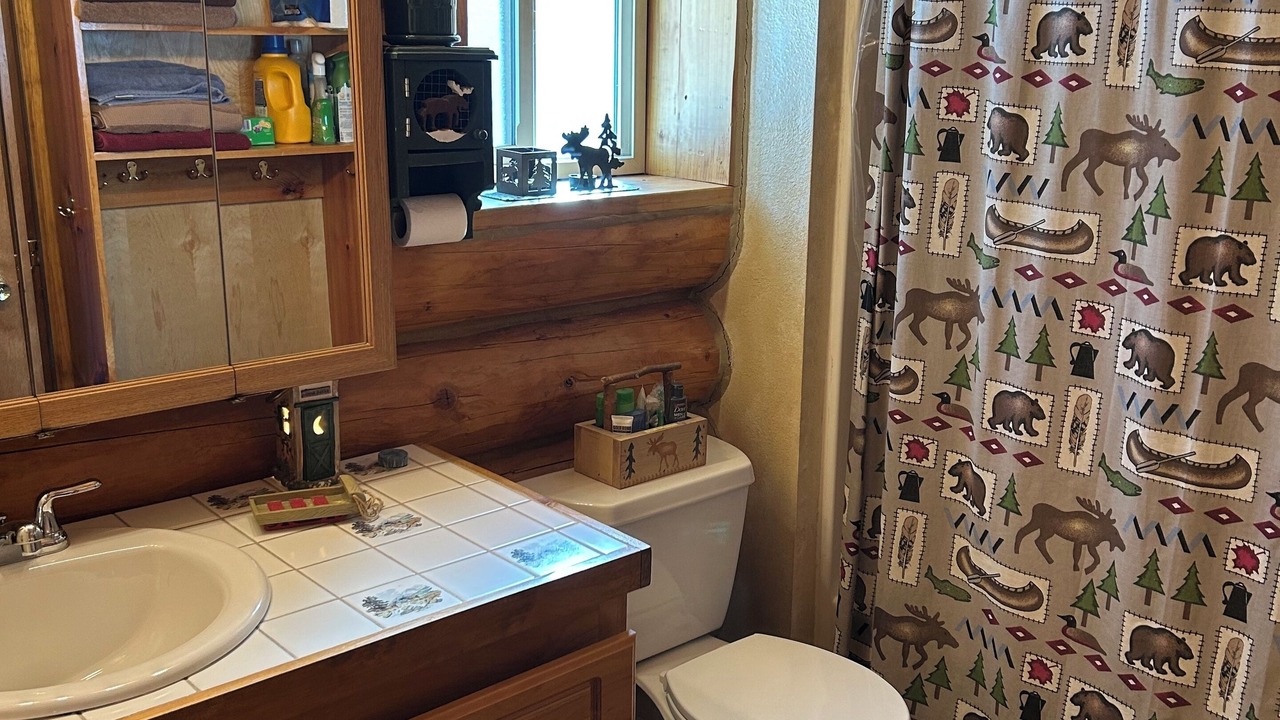 Photo of Bathroom in Leadville North