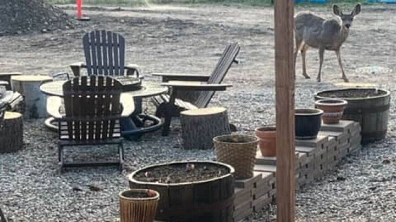 Photo of Outdoor in Red River