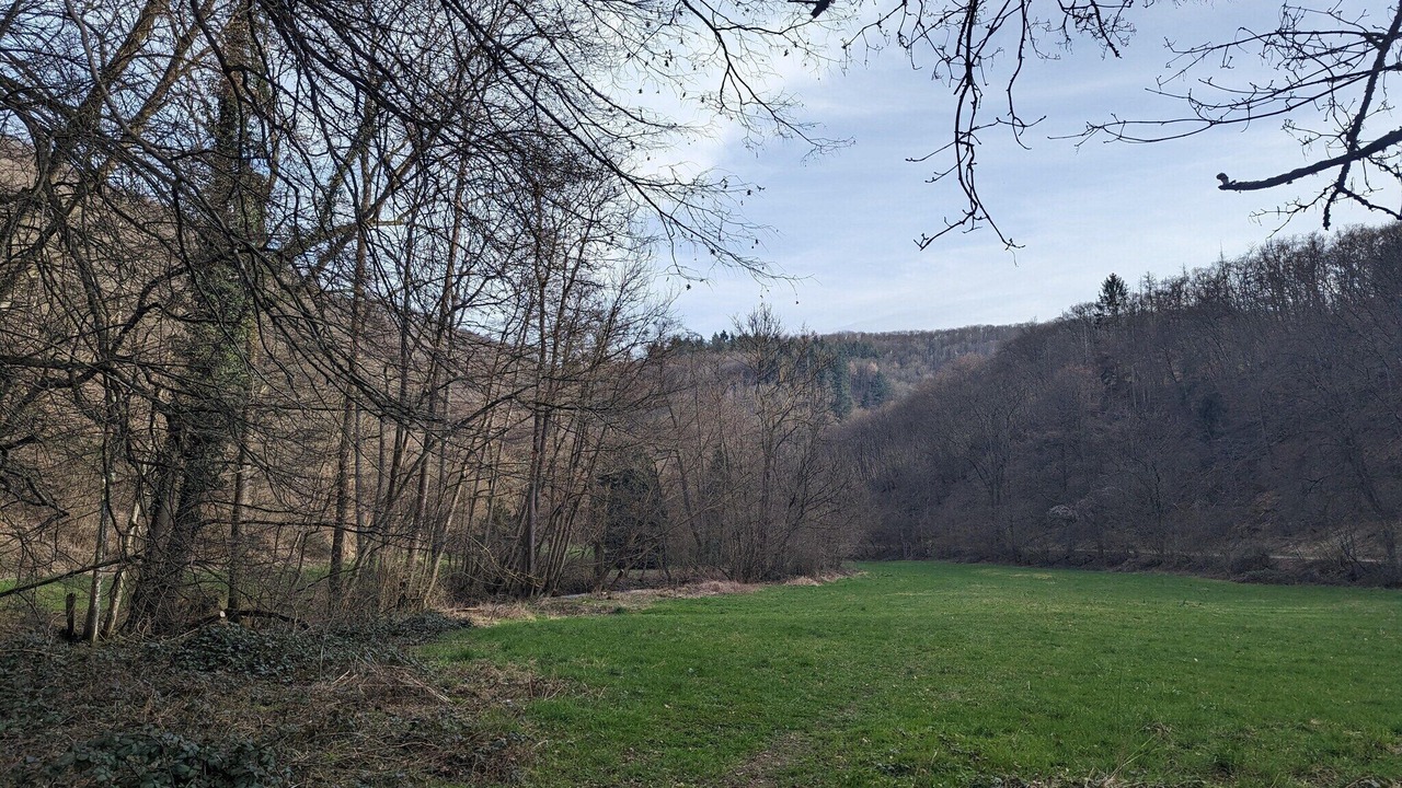 Photo of Others in Bendorf