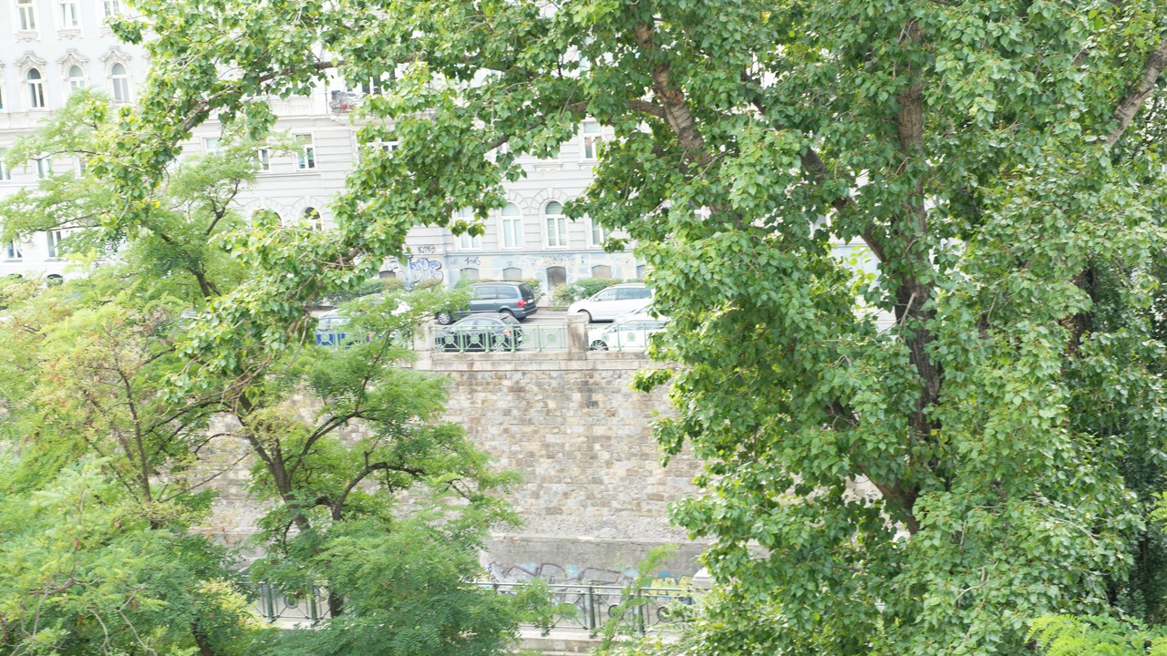 Photo of Others in Margareten