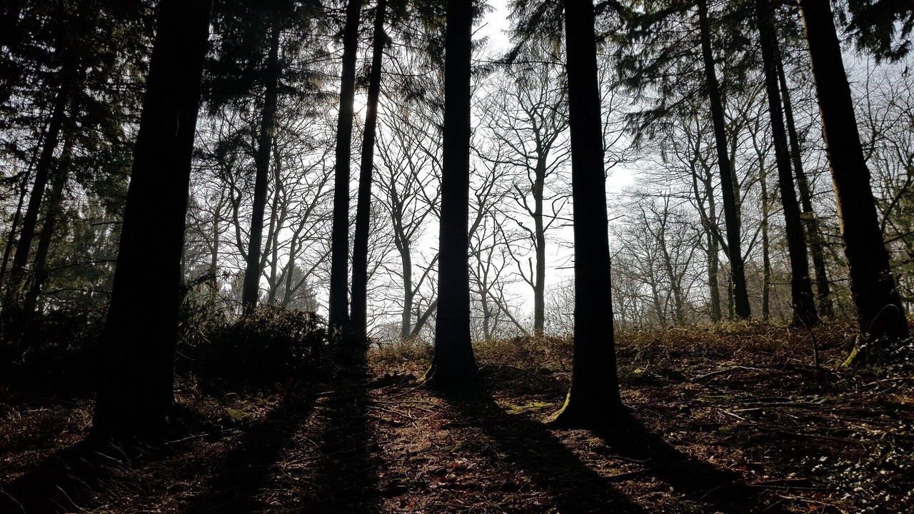 Photo of Others in Bielefeld