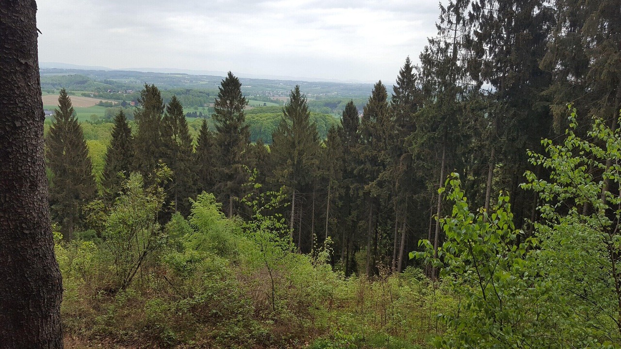 Photo of Others in Bielefeld