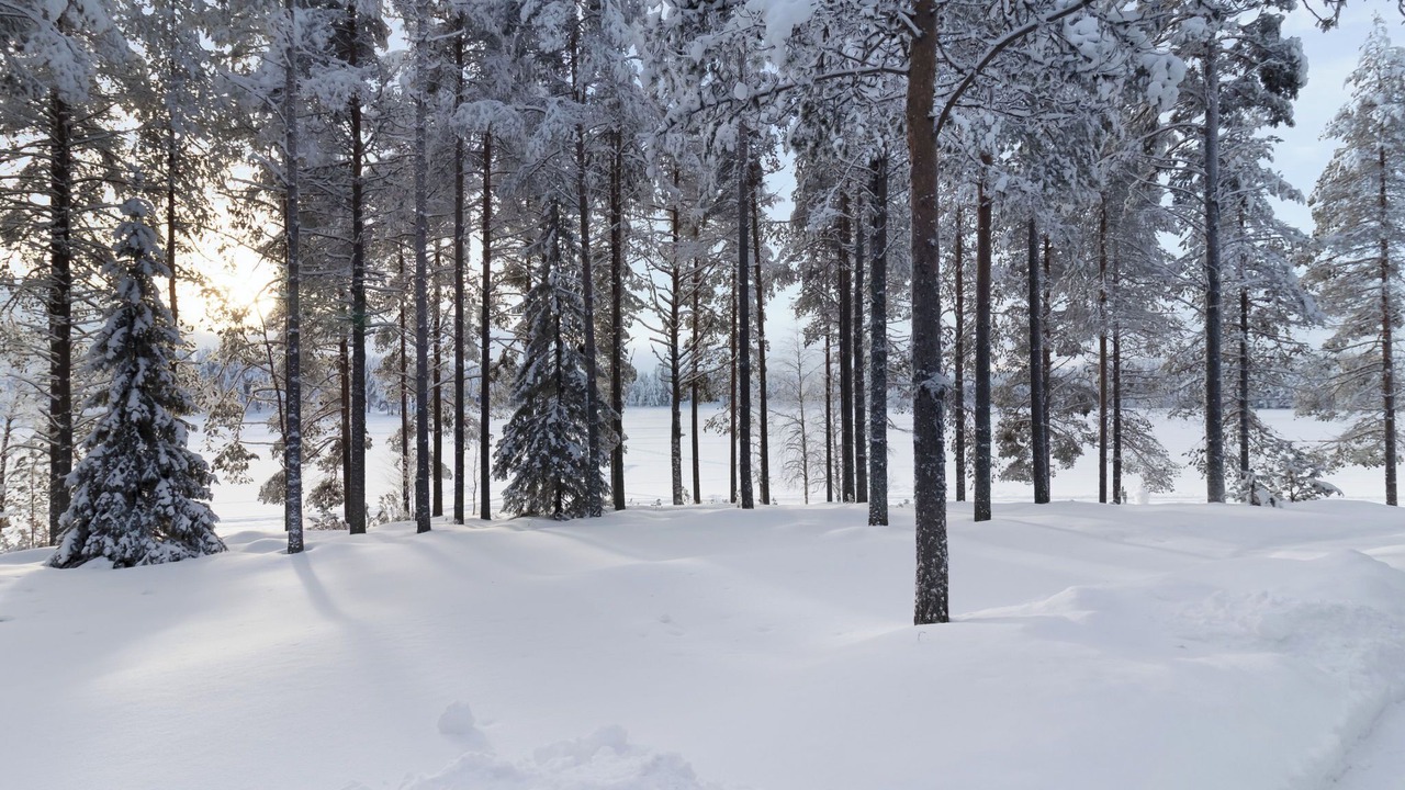 Photo of Others in Kuusamo