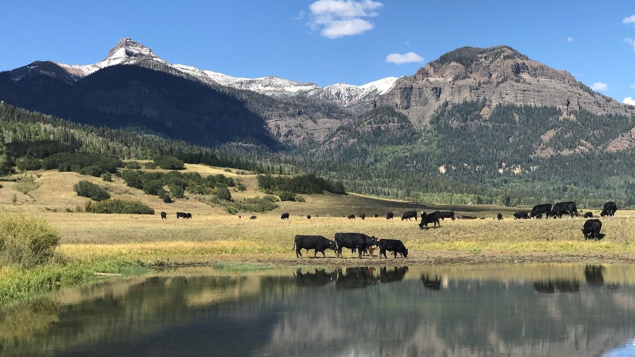 Photo of Others in Pagosa Highlands