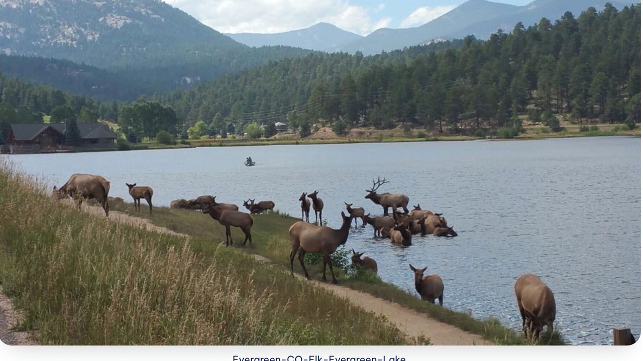 Photo of Others in Shadow Mountain