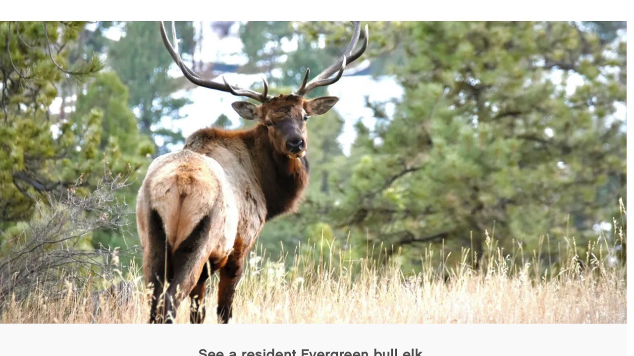 Photo of Others in Shadow Mountain
