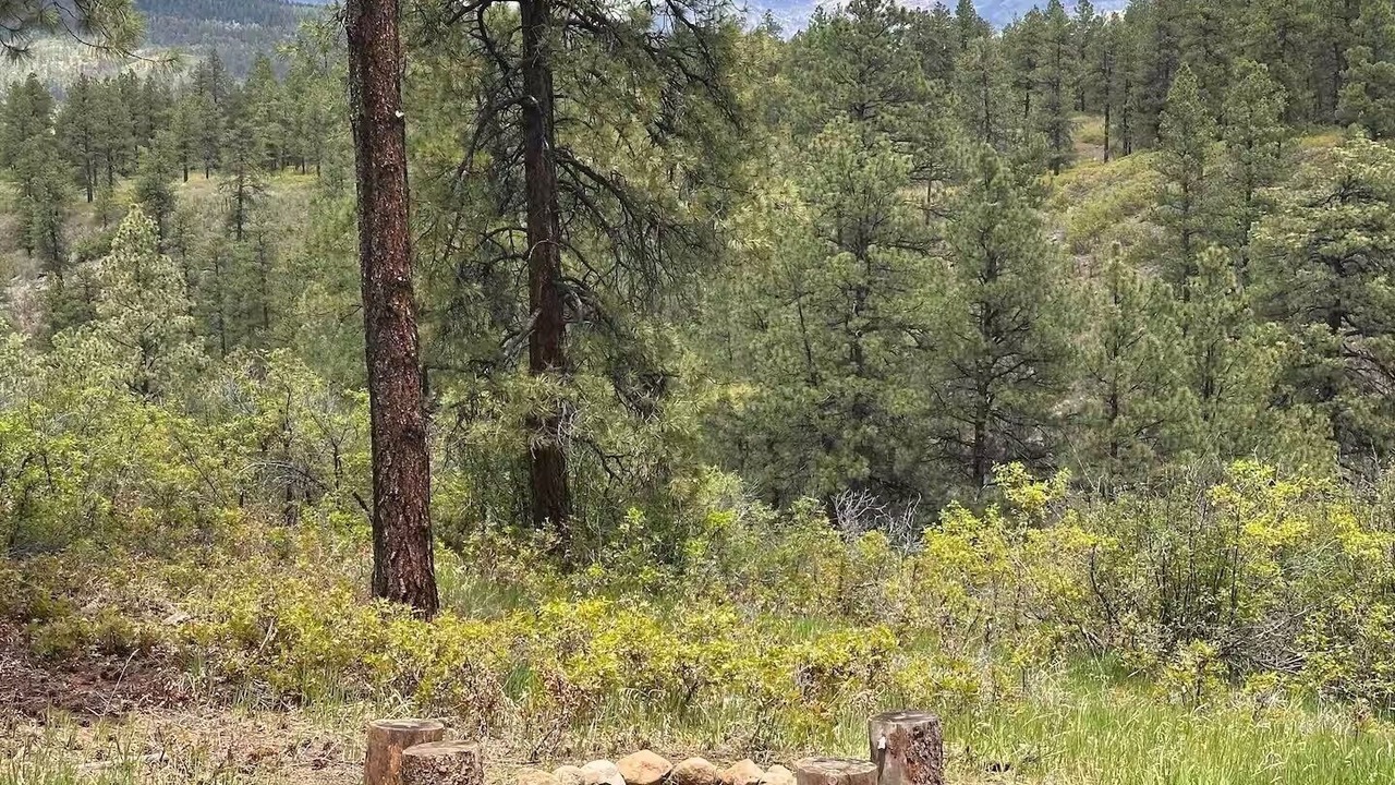 Photo of Others in Pagosa Springs