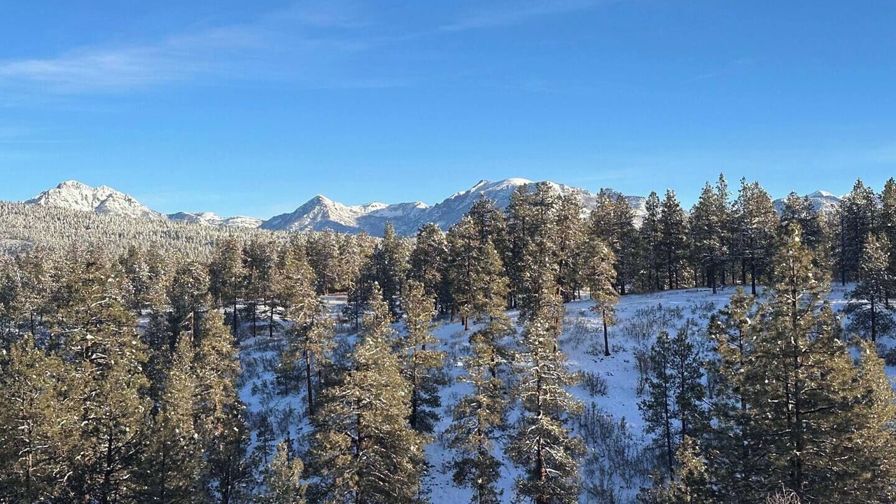 Photo of Others in Pagosa Springs