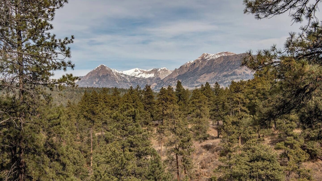 Photo of Others in Pagosa Springs