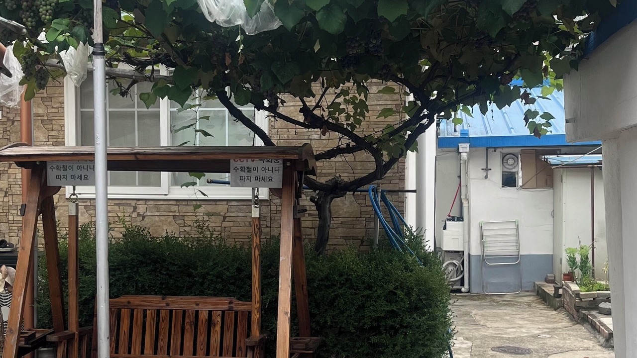Photo of Others in Pyeongtaek