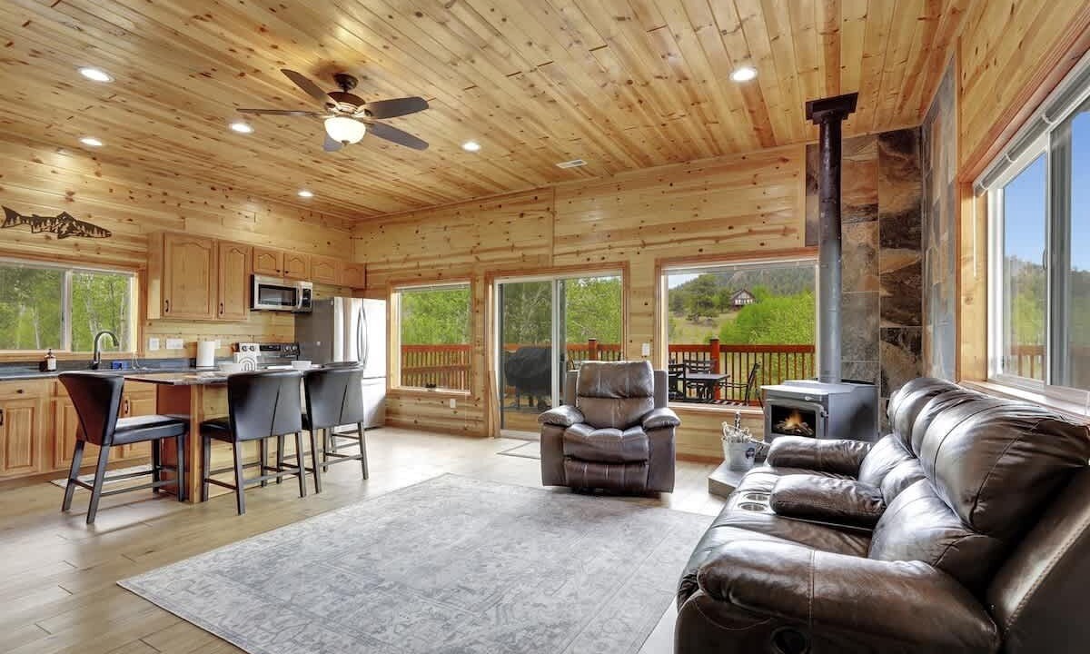 Photo of Livingroom in Indian Mountain