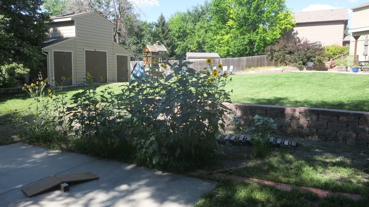Photo of Outdoor in Longmont