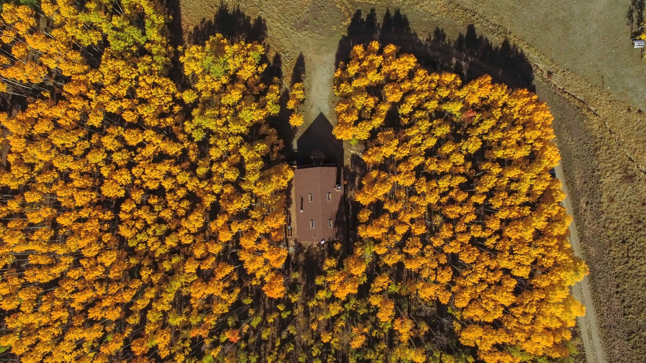 Photo of Outdoor in Michigan Hill