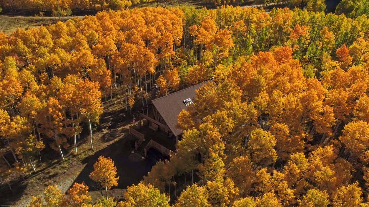 Photo of Outdoor in Michigan Hill