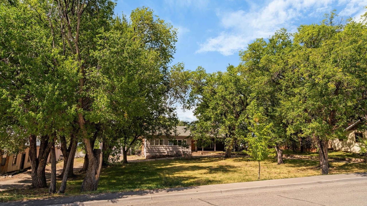 Photo of Outdoor in Nucla