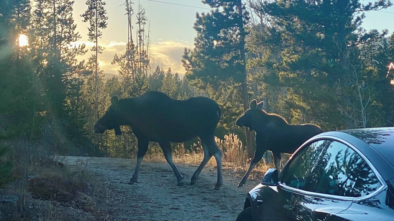 Photo of Others in Fraser