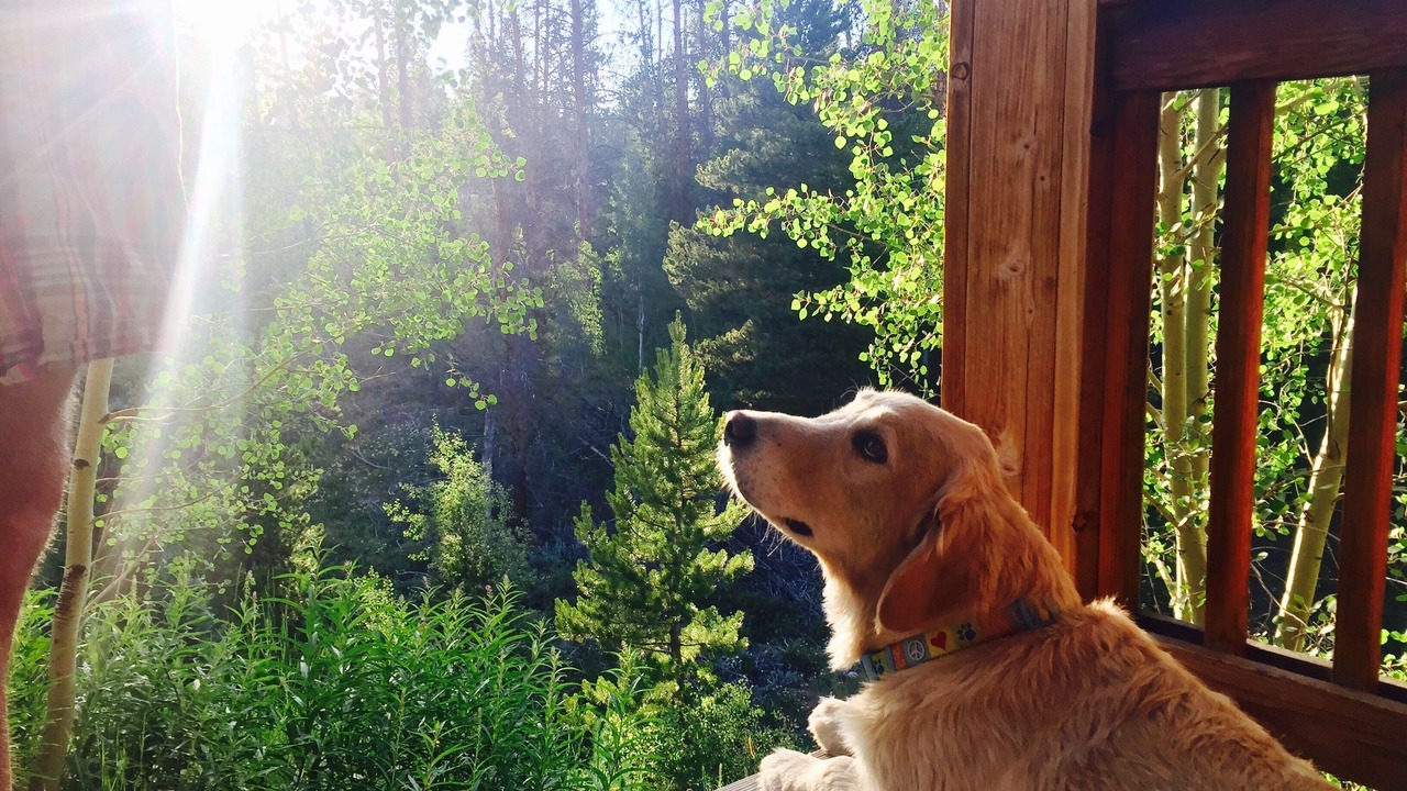 Photo of Outdoor in Fraser