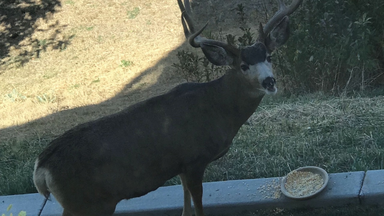 Photo of Others in Lakewood