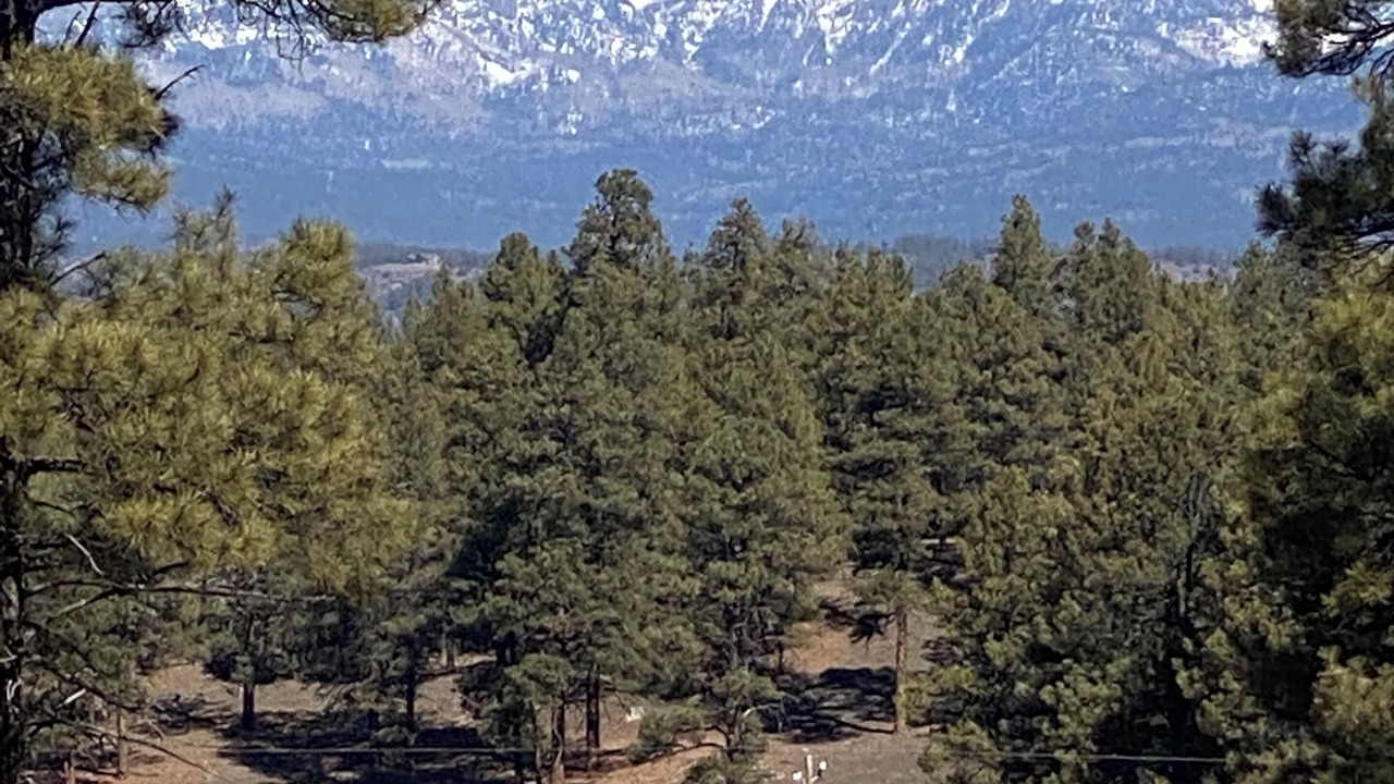 Photo of Others in Pagosa Springs