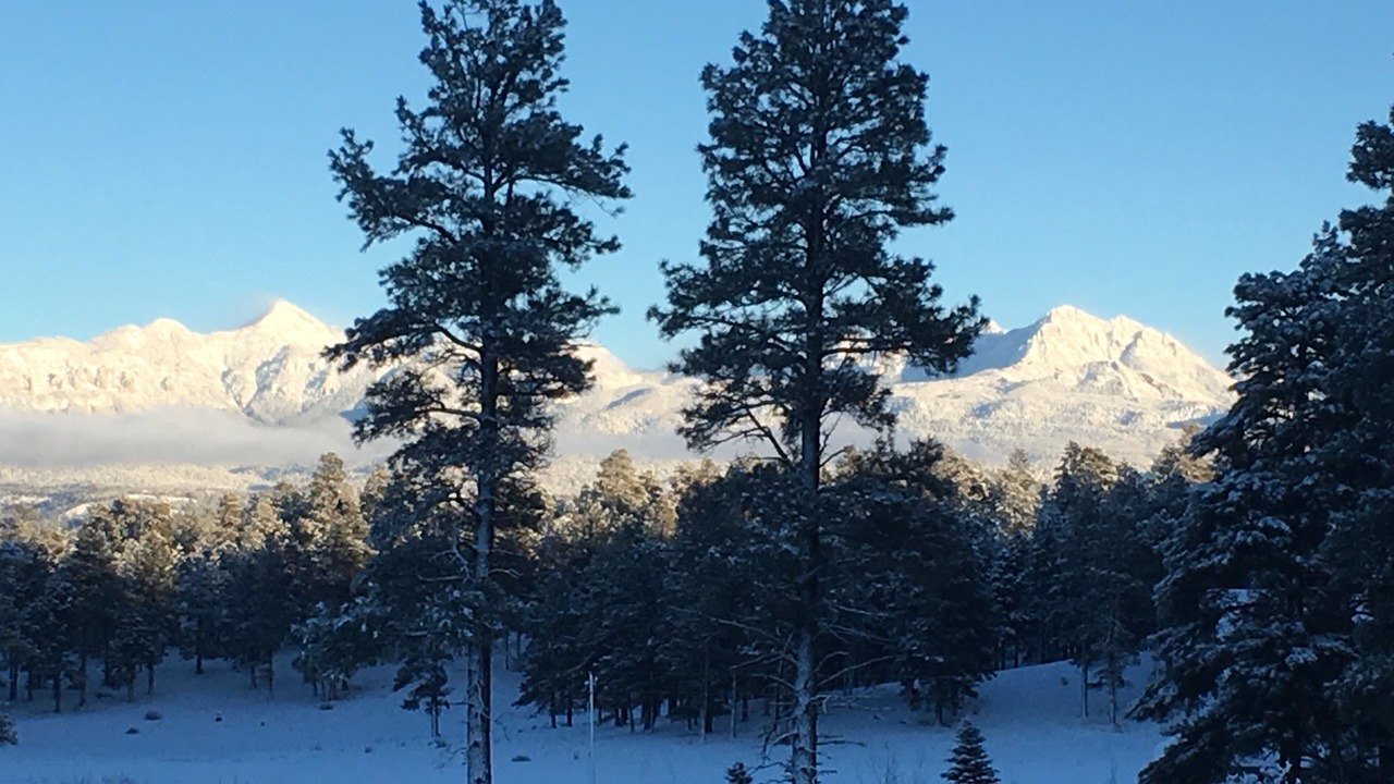 Photo of Others in Pagosa Springs