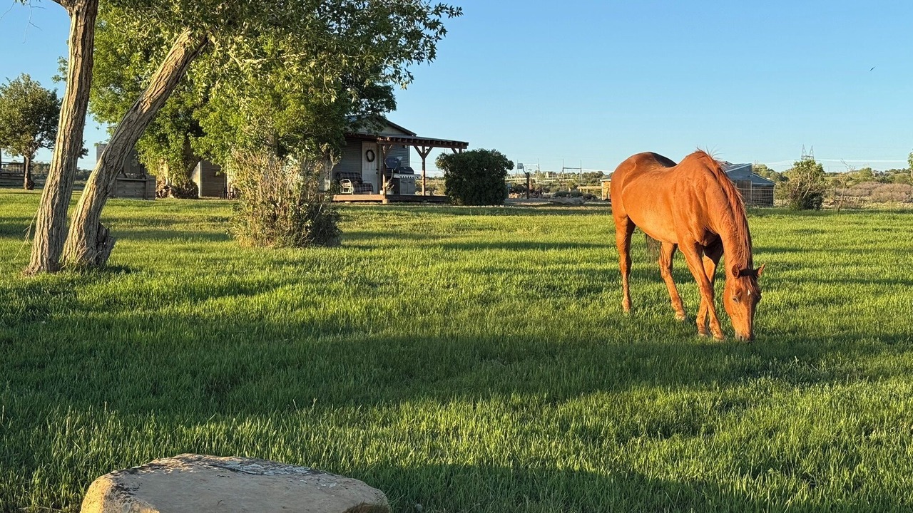 Photo of Others in Cortez