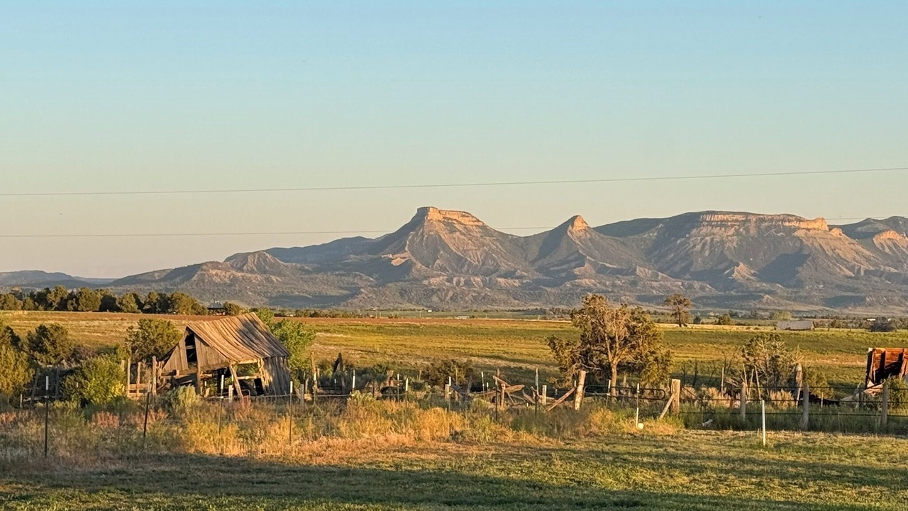 Photo of Others in Cortez