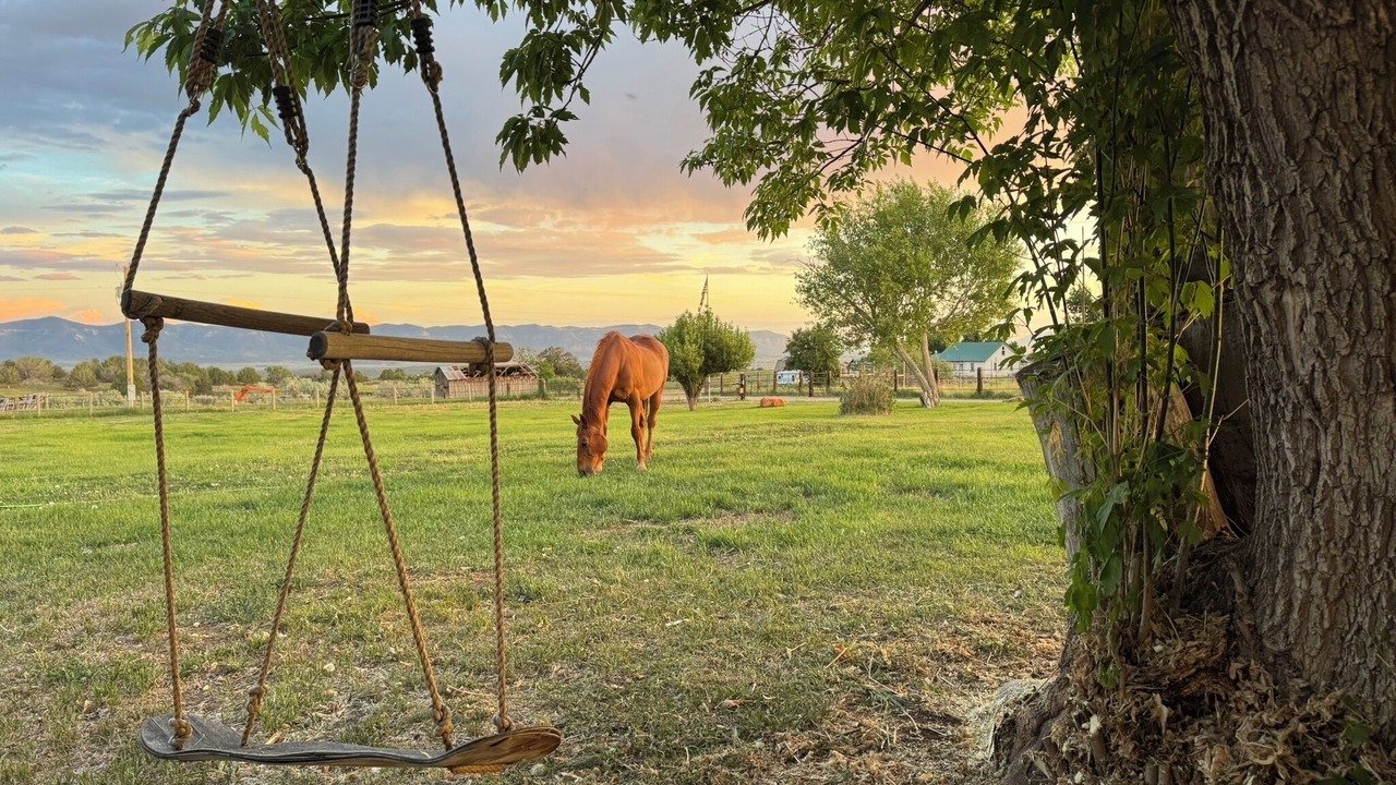 Photo of Others in Cortez