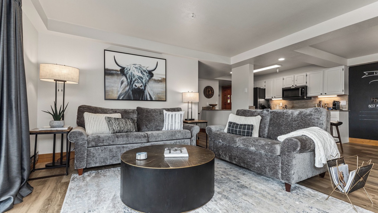 Photo of Livingroom in Steamboat Springs