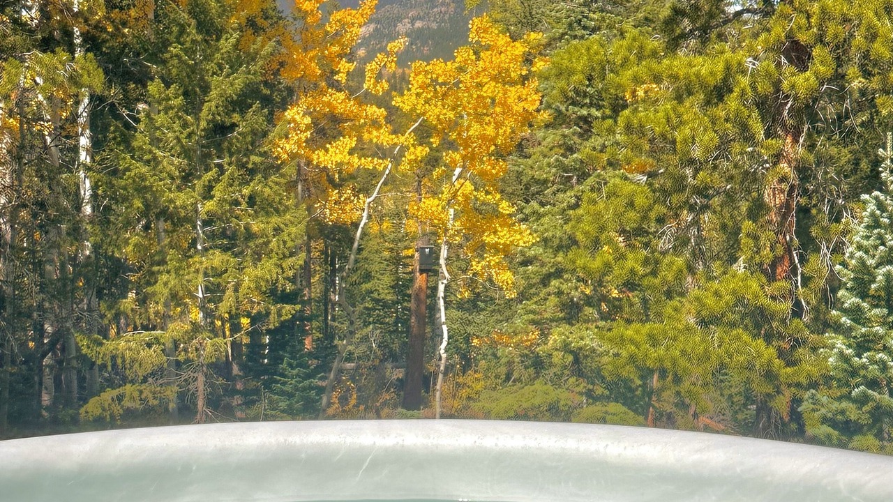 Photo of Outdoor in Allenspark