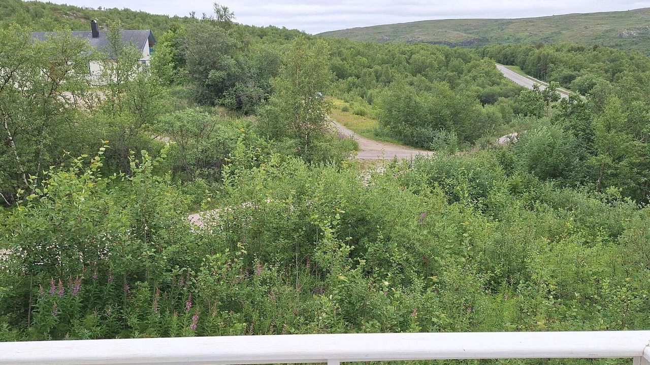 Photo of Outdoor in Polmak