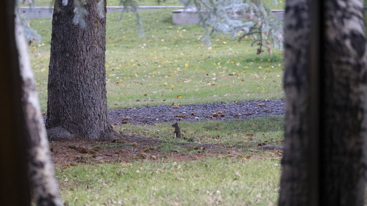 Photo of Others in Pagosa Springs
