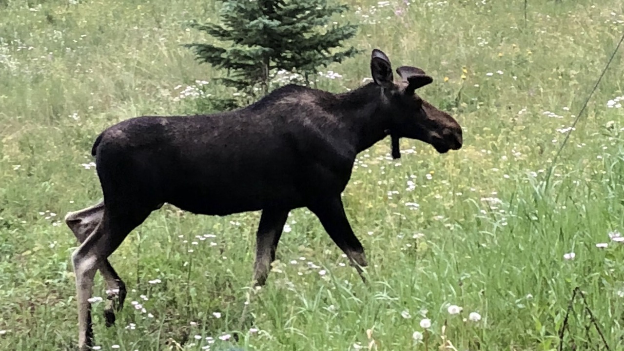 Photo of Others in Baldy Mountain