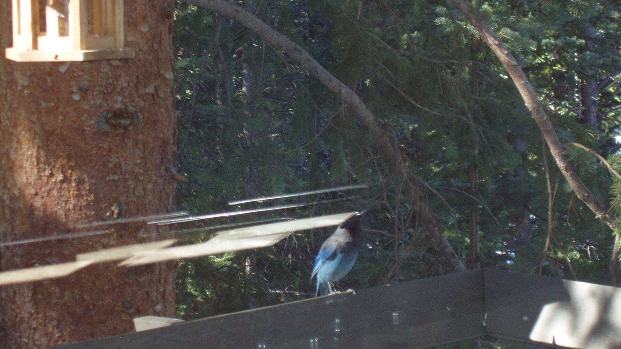Photo of Others in Baldy Mountain