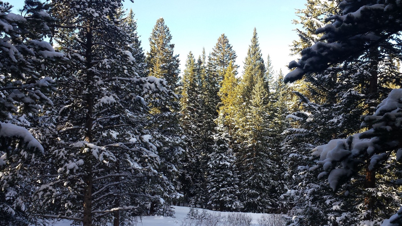 Photo of Others in Baldy Mountain