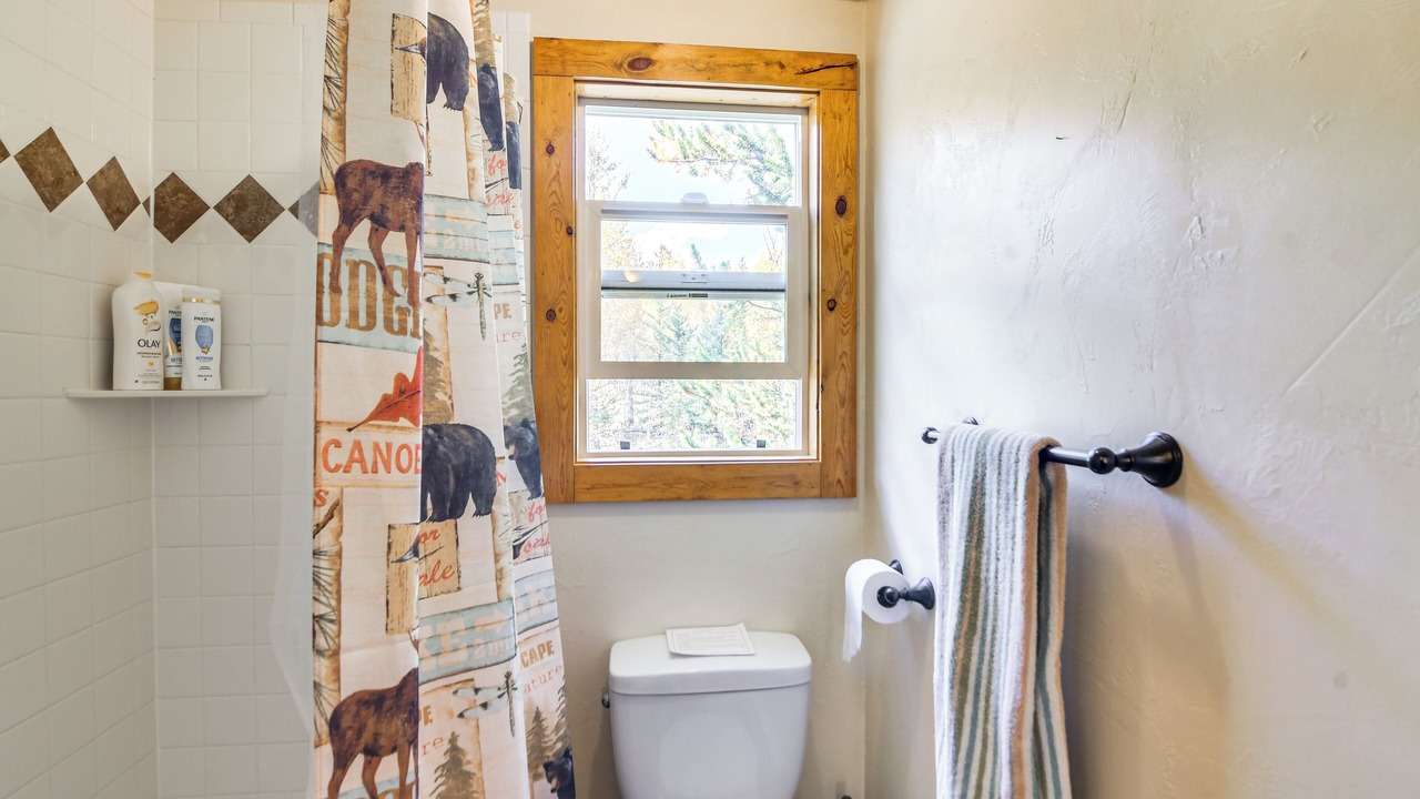 Photo of Bathroom in Indian Mountain