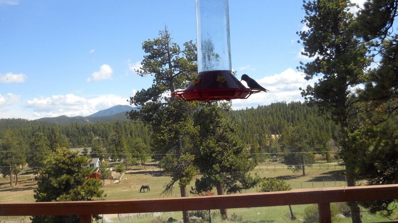Photo of Outdoor in Boulder