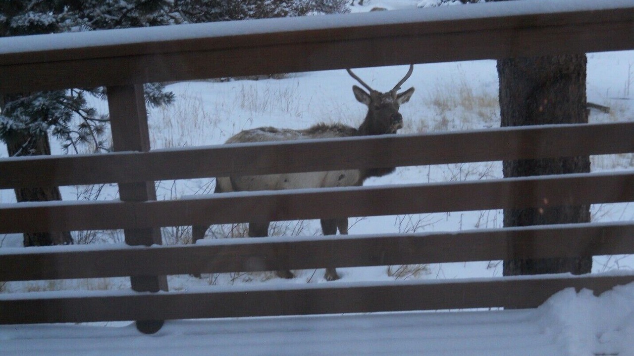 Photo of Others in Boulder