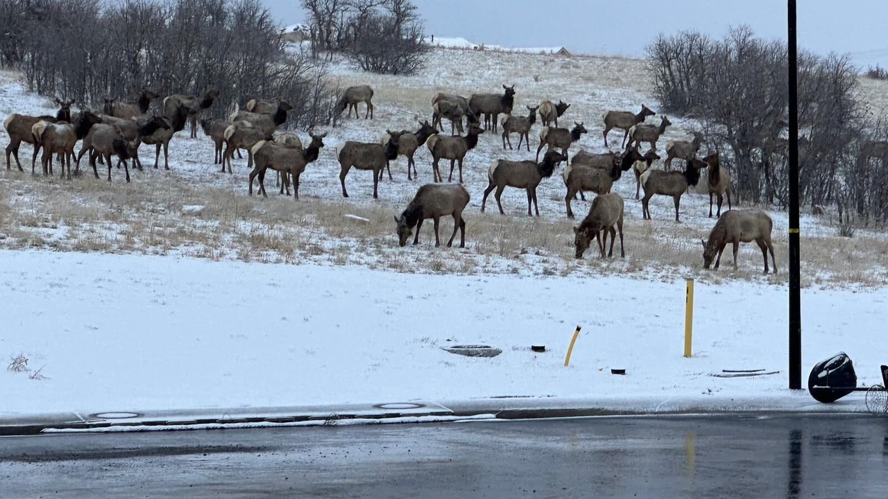 Photo of Others in Castle Pines North