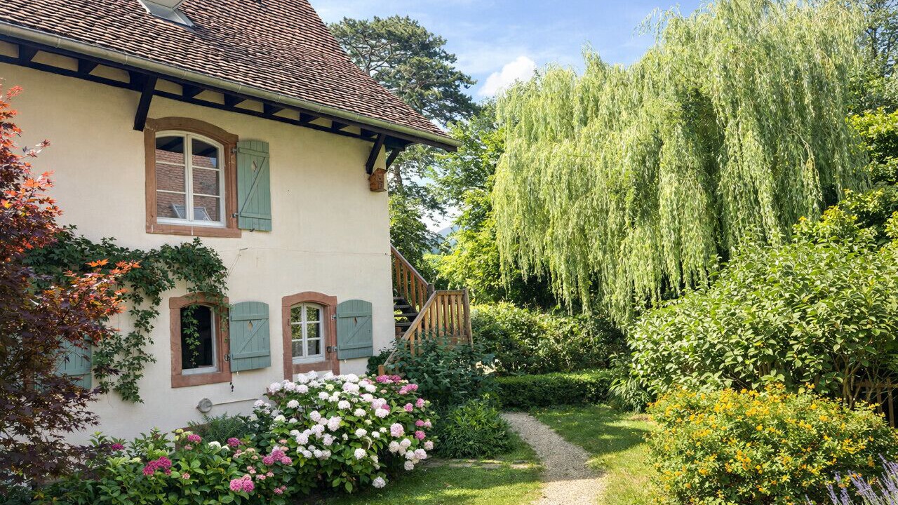 Photo of Outdoor in Boersch