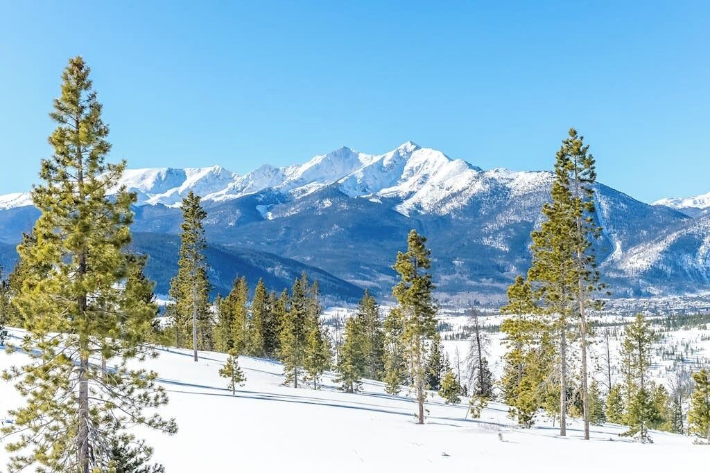 Photo of Others in Mountain House