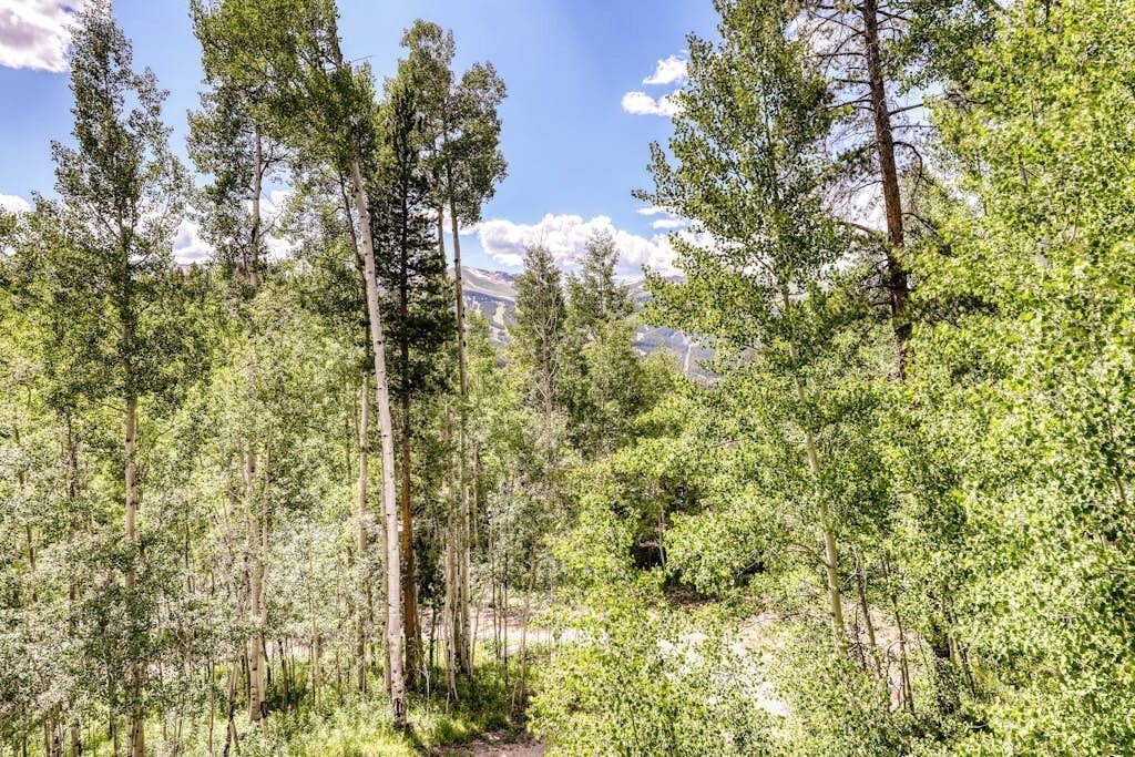 Photo of Others in Baldy Mountain