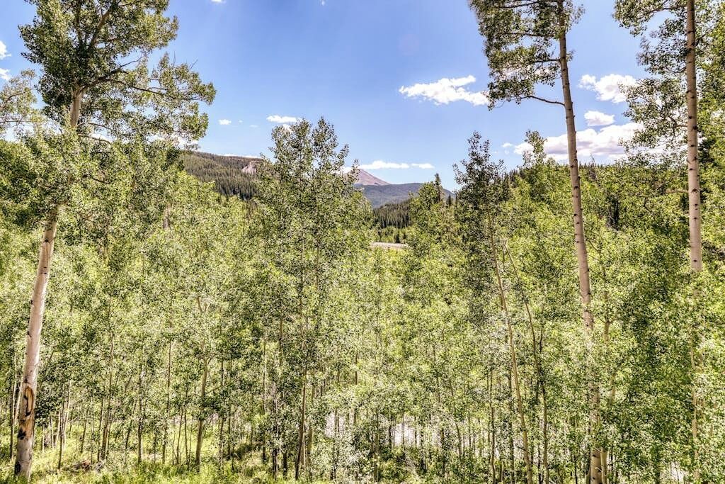 Photo of Others in Baldy Mountain