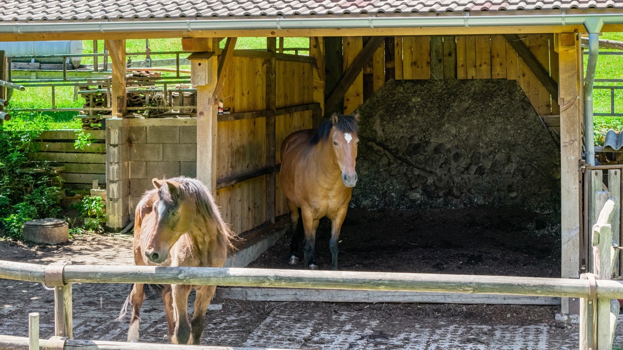 Photo of Others in Deggenhausertal
